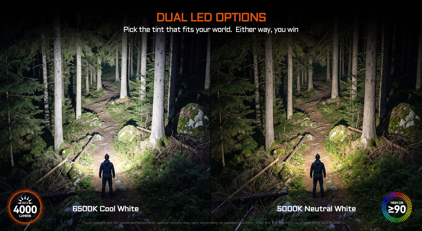 Comparison between 6500K cool white and 5000K neutral white LED options in a forest setting