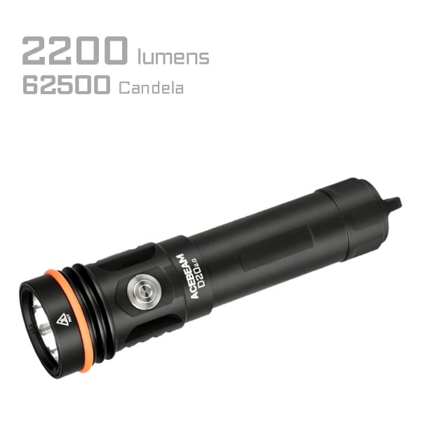 Picture of D20 2.0 Dive Flashlight